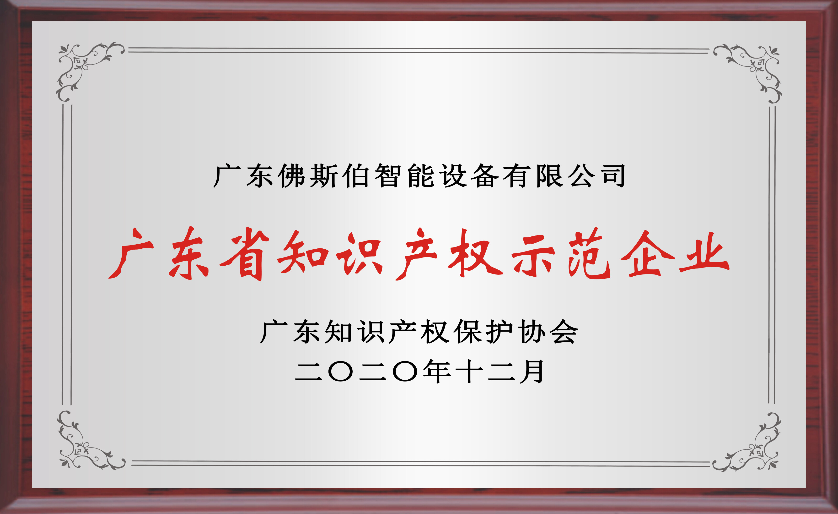 广东知识产权示范企业